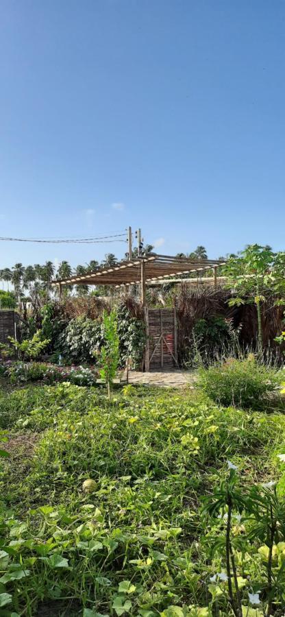 ECO LOFT MAYMUNA: seu loft ecológico pertinho da praia Villa Pôrto de Pedras Exterior foto